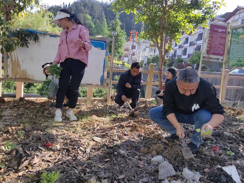 365电子娱乐官方网站驻村工作队挥锹夯土培植花苗