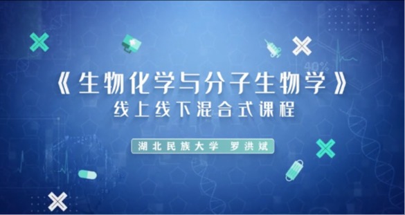 生物化学与分子生物学-蛋白质的结构与功能